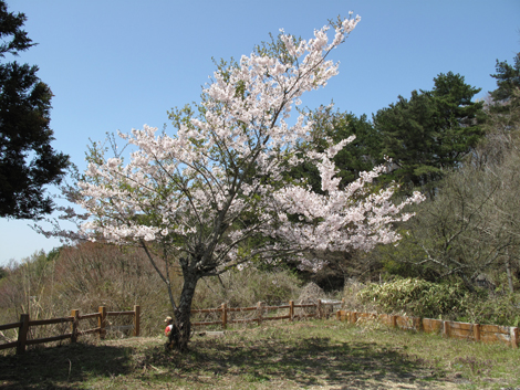20140419hike (138)